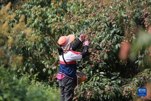 24小时吃瓜黑料免费,揭秘娱乐圈幕后真相